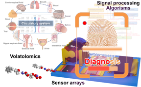 Scientists develop diagnostic device for identifying compounds unique to particular diseases.
CREDIT
Nano Research, Tsinghua University Press