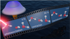 Schematic depiction of the quantum mechanical nature of water molecule interactions: excitation by a laser, followed by contraction of the hydrogen bond, then release of the energy (thermalization).
CREDIT
Image courtesy of SLAC National Accelerator Laboratory.

