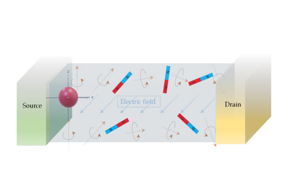 In a Rashba-Dresselhaus spin transistor, the spin of electrons could be disrupted by spin-phonon coupling or non-ideal internal magnetic field distribution.
CREDIT
Jian Shi
