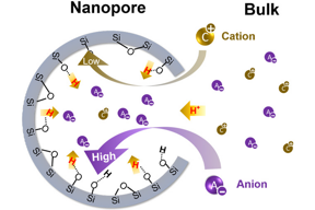 In the lab, the research teams found that anions were preferred to transport in nanopores, inducing lower pH inside the nanopores than in the bulk solution. The higher the salinity of the solution, the greater the difference -- as much as 100 times more acidic.
CREDIT
Jun Lab
