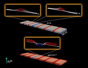 The sample (gray) has no applied magnetic field and has left-handed (left inset) and right-handed (right inset) magnetic domain walls. When magnetized (red), the sample’s domain walls move closer together and either annihilate or combine (bottom inset).
CREDIT
Image courtesy of Oak Ridge National Laboratory.
