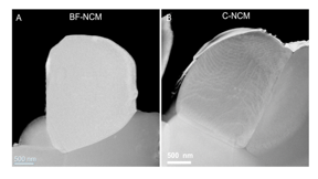 Image shows single crystals of cathode material: (A) no internal boundaries and (B) internal boundaries visible.
CREDIT
(Image by Argonne National Laboratory.)