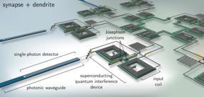 Artistic rendering of how superconducting circuits that mimic synapses (connections between neurons in the brain) might be used to create artificial optoelectronic neurons of the future.

CREDIT
J. Chiles and J. Shainline/NIST
