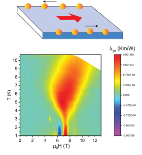 The upper panel shows a sketch of the experiment. In a magnetic field, a heat current (red arrow) applied to the crystal produces a thermal Hall signal that arises from bosonic excitations (orange balls) moving along the edges. The lower panel is a color map of the thermal Hall signal (scale bar on the right) plotted versus magnetic field H and temperature T. The signal is largest in the red regions, close to zero in the light-green regions and slightly negative in the blue spot.

CREDIT
Peter Czajka, Princeton University