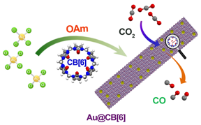 A gold-based hybrid material (Au@CB[6]) is modified by CB[6] in order to efficiently convert CO2 to CO.

CREDIT
Nano Research, Tsinghua University Press