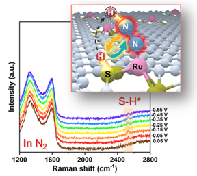 Using in situ Raman spectroscopy and dynamic kinetic effect, the researchers have experimentally confirmed the positive effect of the Ru/S dual-site mechanism on eNRR over a model Ru-S-C single-atom catalyst.

CREDIT
Chinese Journal of Catalysis