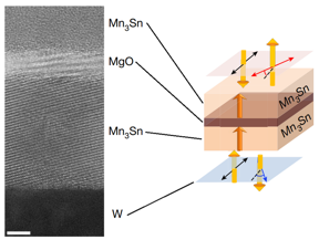 High-resolution transmission electron microscopy image of the antiferromagnetic junction showing layers of different materials (left). Diagram showing the materials’ magnetic properties (right).

CREDIT
©2023 Nakatsuji et al.