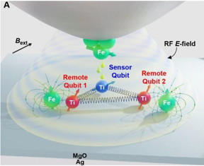 The STM tip (Fe) operates the sensor qubit and romote qubits which creates the new multiple qubit platform.

CREDIT
Institute for Basic Science