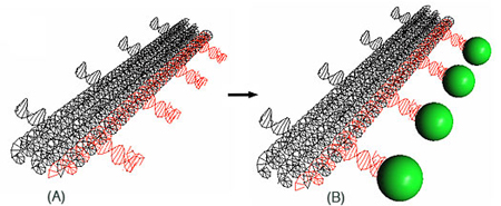 A 3-D model of a DNA nanostructure. Biodesign Institute at Arizona State University