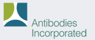 Antibodies, Inc