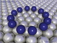 Antonio Siber - coral of atoms