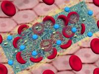 Tim Fonseca - Fibrocytes: Artificial Plateletes