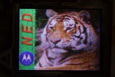 Motorola Labs Nano Emissive Display (NED) prototype