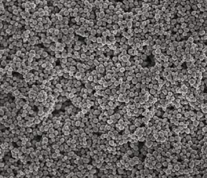 NDSilver™ nanosilver powders