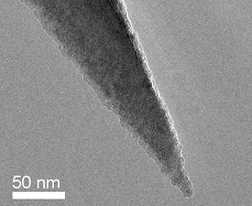 Nanosensors AFM Probe