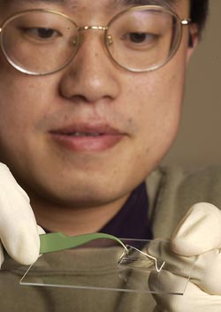 Tom Huang assembles a new microfluidic chip
