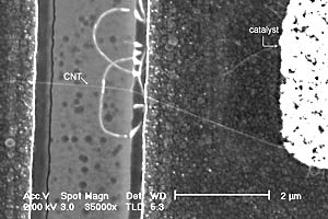 Magnified view of carbon nanotube grown on silicon MOS circuitry.