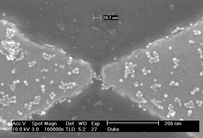 nanocrystal-duke01-large.jpg