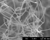 Nanofibre - courtesy Charanjeet Singh, Polymer Research Group, Department of Materials Science & Metallurgy, Cambridge University