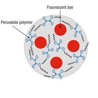 The nanoparticle polymer is made of peroxalate esters. A fluorescent dye (pentacene) is then encapsulated into the polymer. When the nano particles bump into hydrogen peroxide, they excite the dye, which then emits photons (or light) that can be detected.