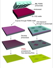 A new fabrication technique, known as soft interference lithography (SIL), makes it possible to inexpensively produce large sheets of gold films with virtually infinite arrays of perforations and microscale "patches" of nanoscale holes. A combination of interference lithography and soft lithography, SIL offers many significant advantages over existing techniques. It can be used to scale-up the nanomanufacturing process to produce plasmonic metamaterials and devices in large quantities. Devices such as films of nanoholes can also serve as templates to make their inverse structures, such as nanoparticles. (Legend: Si=silicon; Cr=chromium; PEEL=electron spectroscopy method called parallel electron energy loss spectroscopy.)

Credit: Reprinted by permission from Macmillan Publishers Ltd: "Multiscale patterning of plasmonic metamaterials," Joel Henzie, Min Hyung Lee and Teri W. Odom, Nature Nanotechnology 2, 549 - 554 (2007)