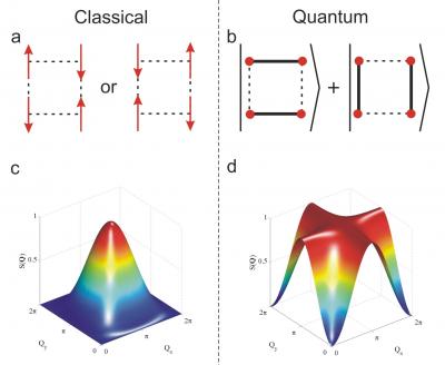 For simplicity, the team focused on a square of spins, the tiny bar magnets associated with the electrons in the copper atoms in the organometallic material studied by the researchers. The left (c) shows a calculated neutron image for these spins when they behave as classical objects (a), while the right (d) shows the image when they are entangled (b). The images are dramatically different in the two cases, taking the form of a nearly circular spot for the classical case and a cross for the quantum, entangled state.

Credit: London Centre for Nanotechnology