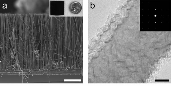 Figure (a) is a cross-sectional scanning electron microscope image of an array of rough silicon nanowires with an inset showing a typical wafer chip of these wires. Figure (b) is a transmission electron microscope image of a segment of one of these wires in which the surface roughness can be clearly seen. The inset shows that the wire is single crystalline all along its length.
