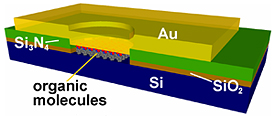 NIST researchers determined that the organic molecules in the middle of this simple silicon-based molecular sandwich pass electric current through these junctions by carefully measuring the minute changes in molecular vibrations.

Credit: NIST