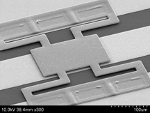 This is an image of a tiny switch called a radio-frequency micro-electromechanical system. The device has a length of about 400 microns, or millionths of a meter, or roughly four times the width of a human hair. The National Nuclear Security Administration will award a $17 million cooperative agreement for a research center at Purdue's Discovery Park to develop advanced simulations to perfect the devices for commercial and defense applications. (Dimitrios Peroulis, Purdue School of Electrical and Computer Engineering, Birck Nanotechnology Center)