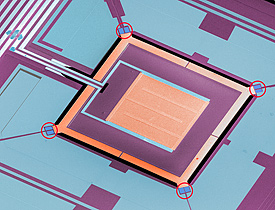 Colorized micrograph of a NIST chip combining four microrefrigerators (circled in red) with a superconducting sensor (large orange square in the middle). The self-cooling chip could be used for applications ranging from detailed X-ray analysis of semiconductors to detection of microwave signals in deep space.

Credit: N. Miller, K. Talbott NIST