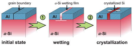 Fig.: Atomic ordering in the gap: a covering layer of aluminum lowers the crystallization temperature of amorphous silicon (a-Si). First the a-Si covers ("wets") the grain boundaries in the aluminum layer (A1). Once the wetting a-Si film has reached a critical thickness, crystallization starts at the grain boundaries.

Image: Max Planck Institute of Metals Research