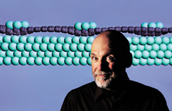 Graphene has proven a difficult material for researchers to tame. Peter Feibelman 's computational simulation suggests an explanation for why iridium atoms (colored green) nest regularly atop a base of graphene (dark-colored atoms) grown over an iridium substrate. Peters image of the orderly nanoscopic metallic arrangement may provide insights to other scientists. His paper on the work was published last Thursday in Physical Review B online.
