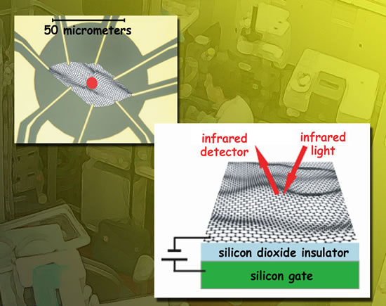 A flake of exfoliated graphene 50 micrometers square was placed on layers of silicon dioxide insulator and a silicon gate. The schematic, left, shows how gold contacts were attached to the graphene to apply gate voltage. A 10-micrometer beam of infrared synchrotron radiation (red spot) was focused onto the graphene to measure transmission and reflectance spectra.