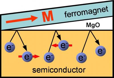 Sketch of a ferromagnet/semiconductor structure. When the MgO interface is very thin, spin up electrons, represented in this image with an arrow to the right, are reflected back to the semiconductor. At an intermediate thickness of the interface, spin down electrons are reflected back to the semiconductor, resulting in a "spin reversal" that can be used to control current flow.

Credit: Kawakami lab, UC Riverside.