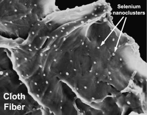 Mercury Sponge  This electron microscope image shows the internal structure of the active sorbent lining. The cloth fibers are laced with active selenium nanoclusters to capture the mercury.Credit: Division of Engineering, Brown Universuty