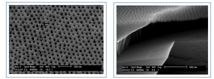 SEM images of free-standing nanoporous silicon-based membranes: (left) top view showing ∼ 35 nm pores with narrow size distribution and (right) side view of 60 nm thick membrane supported by reinforcement bars.


