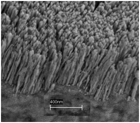 A scanning electron microscope shows copper nanorods deposited on a copper substrate. Air trapped in the forest of nanorods helps to dramatically boost the creation of bubbles and the efficiency of boiling, which in turn could lead to new ways of cooling computer chips as well as cost savings for any number of industrial boiling application.

Photo Credit: Rensselaer/Koratkar