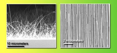 Randomly oriented nanowires, on the growth substrate at left, are having a bad hair day. But after contact printing, the nanowires on the receiver substrate are highly aligned.