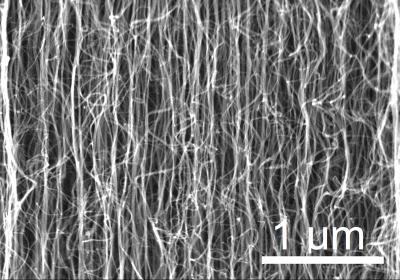 Scanning electron microscope images of the vertically-aligned multi-walled carbon nanotubes grown for this research.

Credit: Image courtesy of Liangti Qu