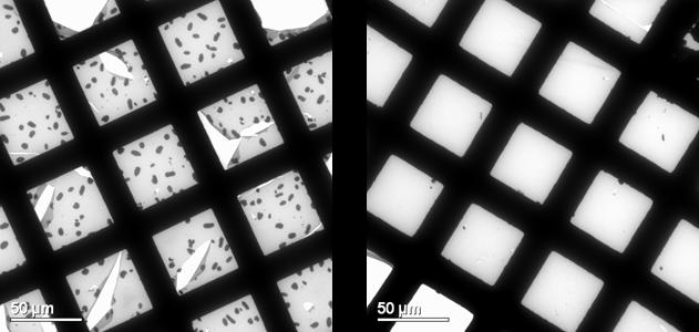 Transmission Electron Microscopy results for polymer/PCBM 1:1 active layers after degradation at 100C for 2 h, showing phase segregation for the Rieke P3HT polymer (left), but a stable morphology for the novel conjugated polymer (right)