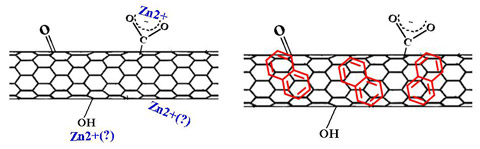 Oxidized carbon nanotubes with sorbates. Credit: Ball Lab / JHU