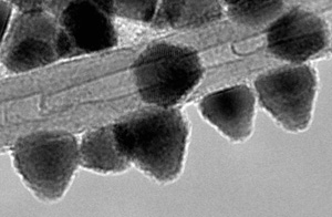 Transmission electron microscope image of CdSe nanoparticles covering a multi-wall carbon nanotube. (c) Madrimasd