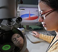 Argonne materials scientist Mihaela Tanase observes a small magnetic disk with a transmission electron microscope. Tanase discovered a new method to control the way the atoms in the magnetic disk orient themselves to form "nanoscale vortices," which are illustrated on the computer screen.