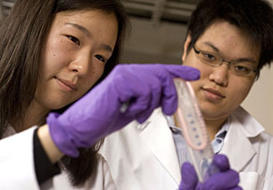 Will Kirk/JHU
Two of the key contributors to the Johns Hopkins mucus mesh study were Ying-Ying Wang, a biomedical engineering doctoral student, and Samuel Lai, an assistant research professor in the Department of Chemical and Biomolecular Engineering.