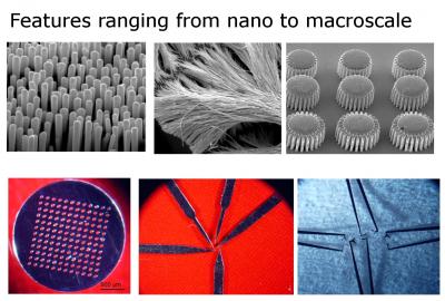 Various parts (nano-molds, nano-wires, gears, membrane, scalpels, and tweezers) fabricated by molding metallic glass over wide range of length scales -- from 13 nm to several millimeters.

Credit: Kumar/Schroers(Yale)