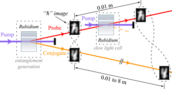 In this simplified representation of the experimental setup for a quantum buffer, a cell containing rubidium gas is used to produce a pair of information-rich entangled images. One of the images goes through a second rubidium gas cell and slows down, which is potentially useful for feeding data at properly timed intervals to future quantum computers. The delay can be controlled such that, during the time it takes one image to travel a centimeter, the other image can travel up to 8 meters. The twisted loops illustrate the entanglement between the images.

Credit: A. Marino/JQI