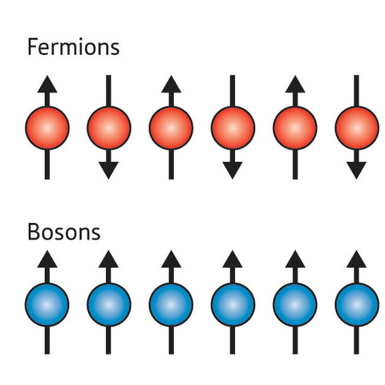 Figure 1: The spins on a chain of fermions (top) point in alternating directions, whereas the spins on a chain of bosons (bottom) all point in the same direction. In the latter case, this leads to the emergence of acoustic and spin wave excitations with markedly different spectra. According to the new theory, such differences should be evident in the way a 1-D system of ultracold bosonic atoms absorbs different frequencies of light. 