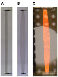 A. An artificial muscle strip with no voltage applied.
B. The above artificial muscle strip with 5 kV applied.
C. An artificial muscle strip actuated at 1500 K using 5 kV applied voltage.
