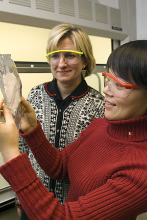 Margaret Frey, left, associate professor of fiber science and apparel design, and research associate Chunhui Xiang have developed a method to deliver pesticides via nanofibers.