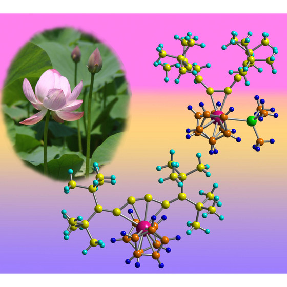 Figure 1: Schematic showing that adding or removing an extra chemical group (green) to the zirconium atom (pink) can open and close the structure of the molecule like the petals of a lotus flower. 